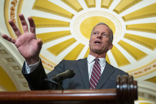 Senate Majority Leader John Thune, R-S.D., speaks to reporters at the Capitol, Tuesday, May 20, 2025, in Washington. (AP Photo/Manuel Balce Ceneta)