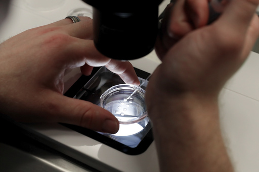 FILE - Lab staff prepare small petri dishes, each holding several 1-7 day old embryos, for cells to be extracted from each embryo to test for viability at the Aspire Houston Fertility Institute in vitro fertilization lab Feb. 27, 2024, in Houston. (AP Photo/Michael Wyke, File)