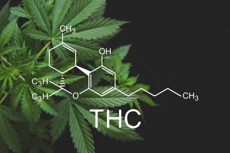 thc hemp