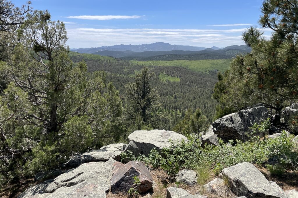 A June 2024 view across the Black Hills National Forest from Boulder Hill toward Black Elk Peak. (Seth Tupper/South Dakota Searchlight)