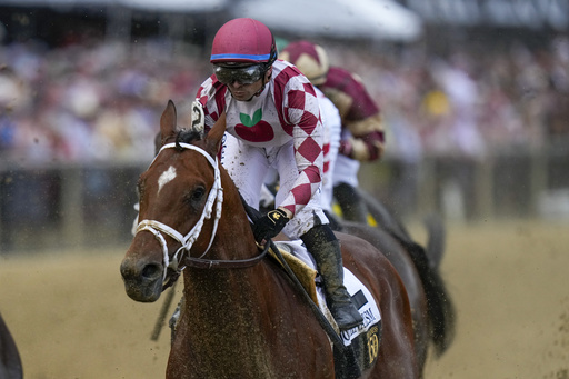 Umberto Rispoli, atop Journalism, participates in the 150th running of the Preakness Stakes horse race Saturday, May 17, 2025, at Pimlico Race Course in Baltimore. (AP Photo/Stephanie Scarbrough)