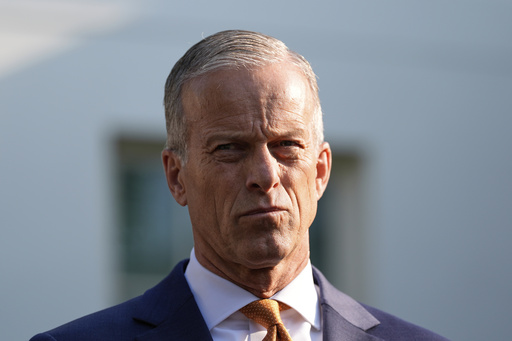 Senate Majority Leader John Thune, R-S.D., speaks with reporters after meeting with President Donald Trump at the White House, Wednesday, June 4, 2025, in Washington. (AP Photo/Alex Brandon)