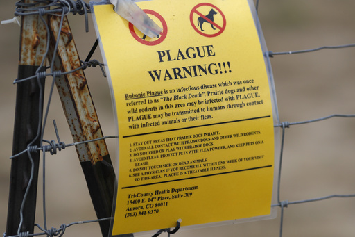 FILE - A sign warning of bubonic plague is displayed at a parking lot near the Rocky Mountain Arsenal Wildlife Refuge in Commerce City, Colo., Aug. 10, 2019. (AP Photo/David Zalubowski, File)