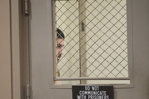 Raymond Boodarian, charged with the fatal shooting of "American Idol" executive Robin Kaye and her husband Thomas Deluca, appears in court on Wednesday, Aug. 20, 2025, in Los Angeles. (AP Photo/Damian Dovarganes)