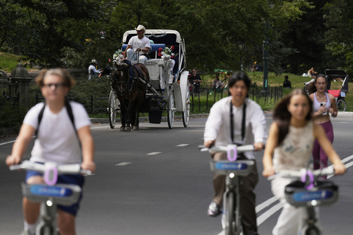 A horse dawn carriage takes passengers through a loop in Central Park in New York, Tuesday, Aug. 19, 2025. (AP Photo/Seth Wenig)