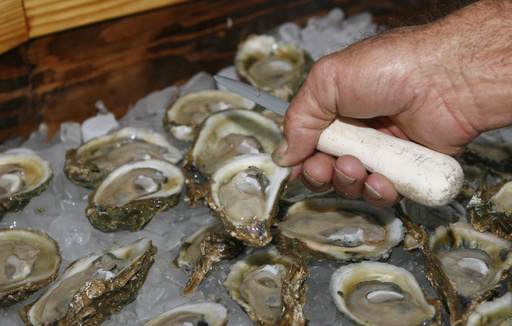 FILE - In this Aug. 13, 2013, file photo, oysters are displayed in Apalachicola, Fla. (AP Photo/Phil Sears, File)