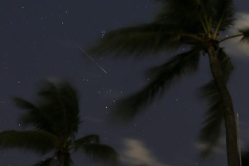 In this long-exposure photo, a meteor streaks across the sky, seen above palm trees, in Bal Harbour, Fla., early Monday, Aug. 13, 2018, during the Perseid meteor shower. (AP Photo/Wilfredo Lee)