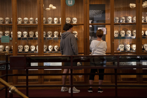 Milo Tivy, 16, and Shari Tivy, 75, look at a display of human skulls at the Mütter Museum on Thursday, Aug. 21, 2025, in Philadelphia. (AP Photo/Mingson Lau)