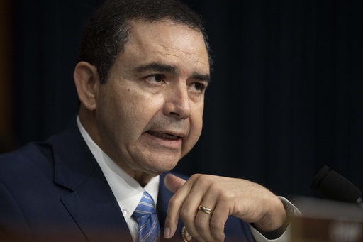 FILE - Rep. Henry Cuellar, D-Texas, speaks during a hearing of the Homeland Security Subcommittee of the House Committee on Appropriations on Capitol Hill, April 10, 2024, in Washington. (AP Photo/Mark Schiefelbein, File)