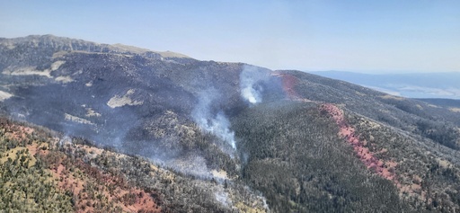 This image provided by the US Forest Service shows an aerial view of a wildfire in upper Mill Gulch, Aug. 22, 2025, north of Virginia City, Mont. The red areas in the photo indicate fire retardant. (US Forest Service via AP)