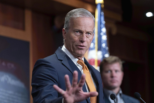 Senate Majority Leader John Thune, R-S.D., speaks during a news conference on Capitol Hill in Washington, Friday, Sept. 19, 2025. (AP Photo/Jose Luis Magana)
