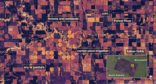 This image provided by NASA/JPL-Caltech on Aug. 23, 2025, NISAR imaged land adjacent to northeastern North Dakota’s Forest River, light-colored wetlands and forests line the river’s banks, while circular and rectangular plots throughout the image appear in shades that indicate the land may be pasture or cropland with corn or soy. (NASA/JPL-Caltech via AP)