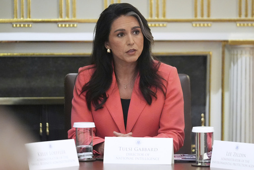 Director of National Intelligence Tulsi Gabbard, speaks during a cabinet meeting with President Donald Trump, Tuesday, Aug. 26, 2025, at the White House in Washington. (AP Photo/Mark Schiefelbein)