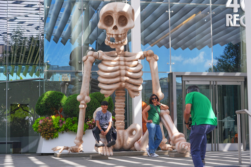 FILE _ Sam Desai, right, takes a Halloween-themed photo of his wife, Sonia Desai, and son, Rishan Desai, in downtown Dallas, Sept. 27, 2025. (AP Photo/LM Otero, File)