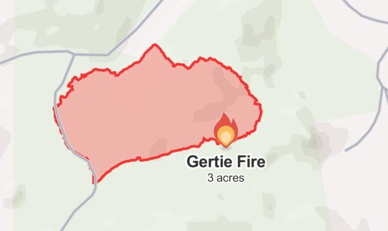 Gertie FIRE