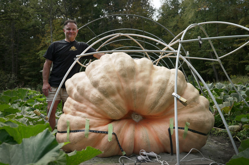 Tony Scott stands with the pumpkin he grew in his Wappingers Falls, N.Y., backyard on Sept. 17, 2025. (AP Photo/Shelby Lum)