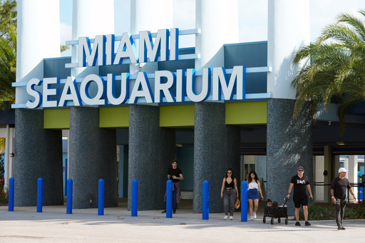 FILE - Visitors exit the Miami Seaquarium, March 7, 2024, in Key Biscayne, Fla. (AP Photo/Marta Lavandier, file)