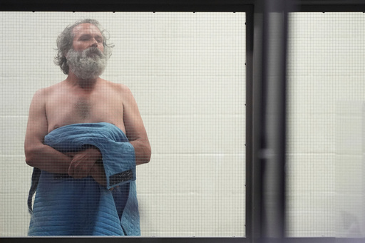 FILE - Jimmy Wayne Carwyle appears during an arraignment in Los Angeles, Thursday, May 8, 2025. (AP Photo/Jae C. Hong, Pool, File)