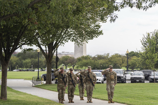 National Guard soldiers salute as President Donald Trump's motorcade drives by, Saturday, Sept. 20, 2025, in Washington. (AP Photo/Julia Demaree Nikhinson)