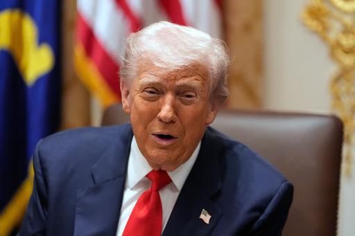 President Donald Trump speaks as he meets with Argentina's President Javier Milei in the Cabinet Room of the White House, Tuesday, Oct. 14, 2025, in Washington. (AP Photo/Alex Brandon)