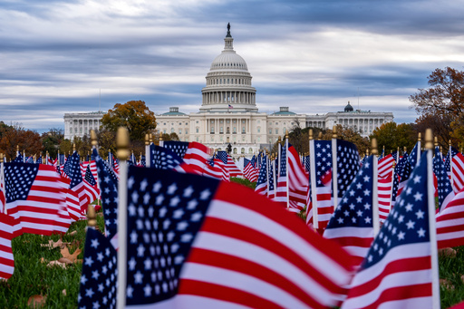 Miniature American flags flutter in wind gusts across the National Mall near the Capitol in Washington, Monday, Nov. 10, 2025. (AP Photo/J. Scott Applewhite)