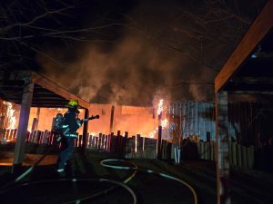 Reptile gardens fire