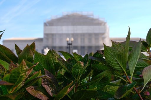 The U.S. Supreme Court is seen on Capitol Hill, Friday, Nov. 7, 2025, in Washington. (AP Photo/Mariam Zuhaib)