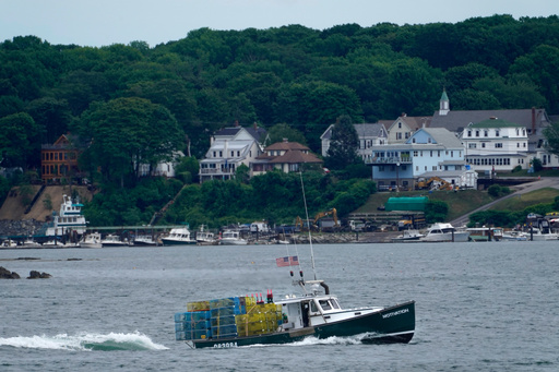 FILE - In this July 8, 2021, file photo, a lobster boat carries a heavy load of traps as it motors out to sea near Peaks Island in Portland, Maine. (AP Photo/Robert F. Bukaty, File)